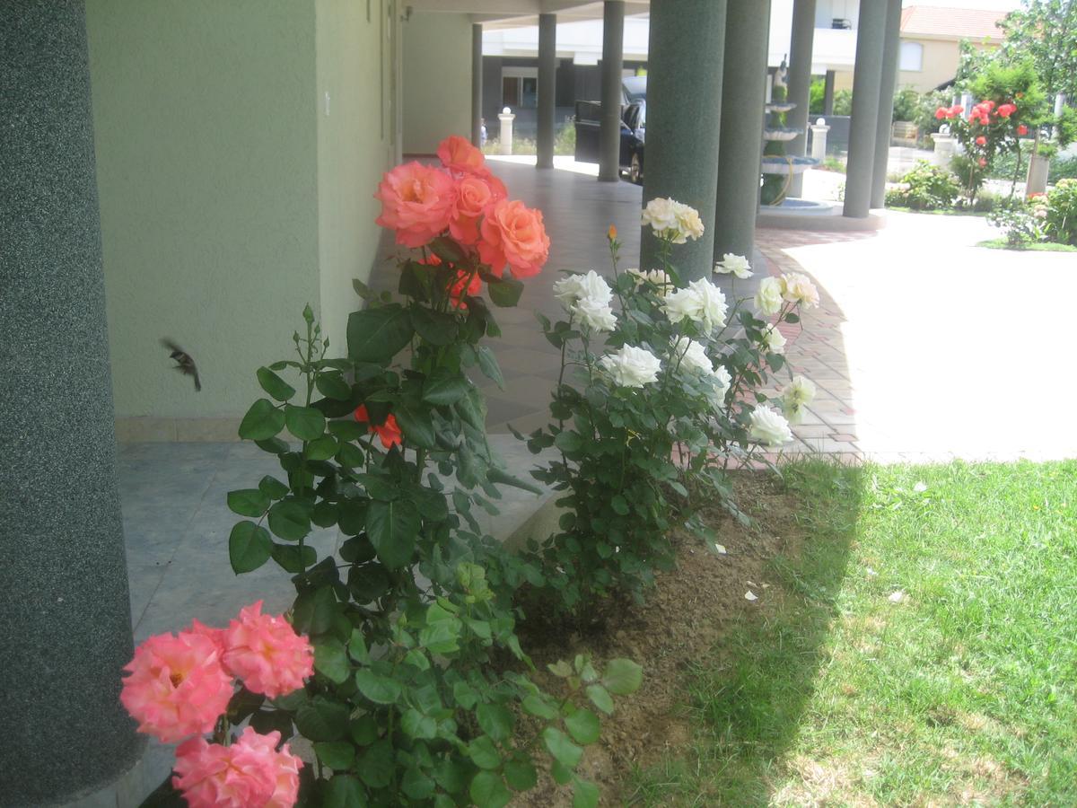 Guest House Vila Mimoza Улцинь Экстерьер фото